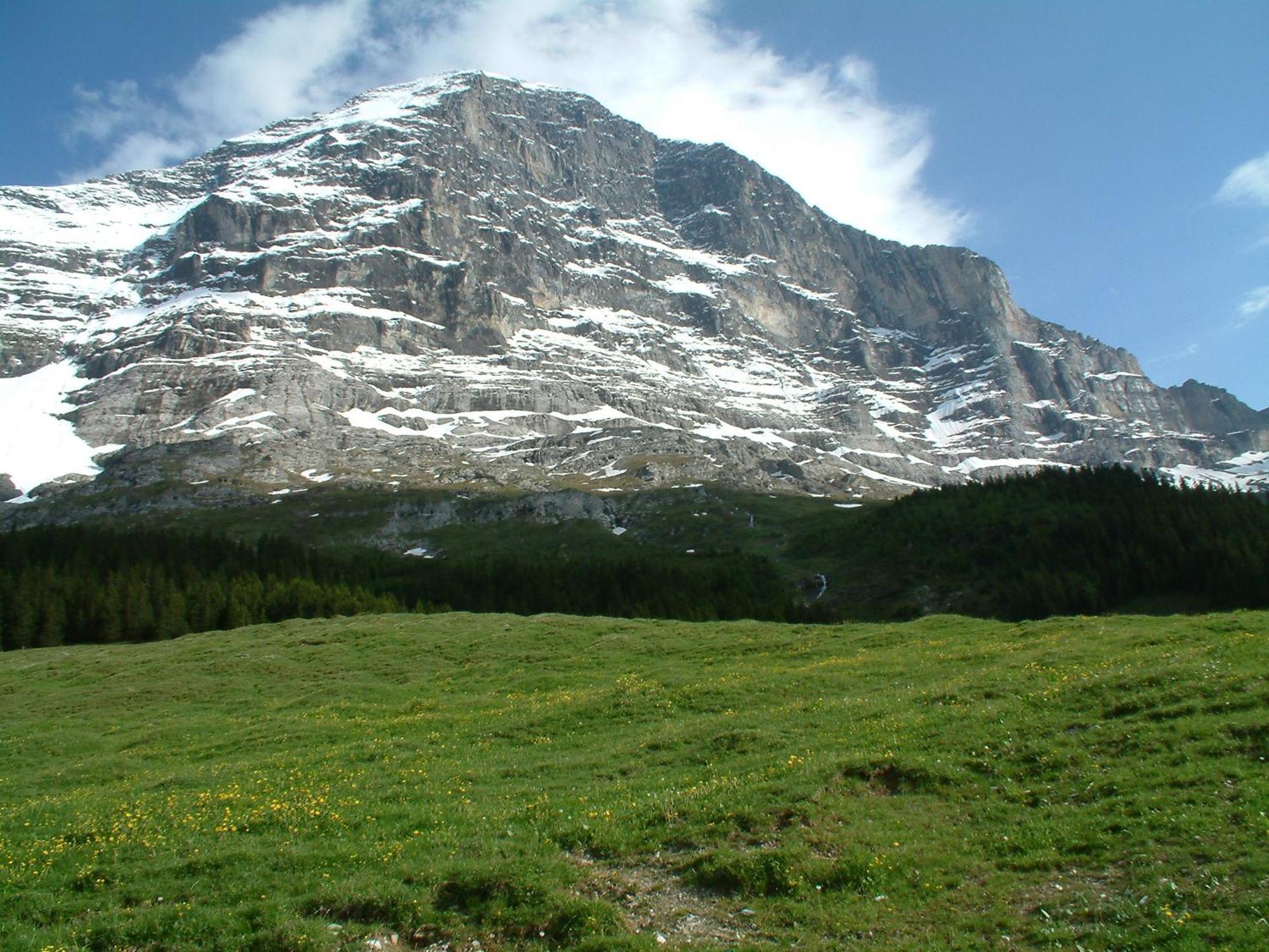 Chalet Schwendiboden Grindelwald Zewnętrze zdjęcie