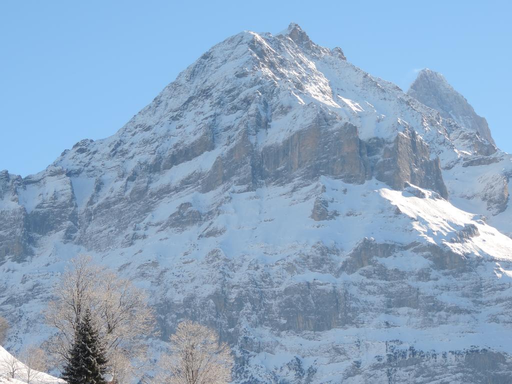 Chalet Schwendiboden Grindelwald Zewnętrze zdjęcie